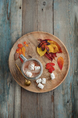 Fototapeta na wymiar Cup of delicious hot cocoa with marshmallow and autumn colorful leaves