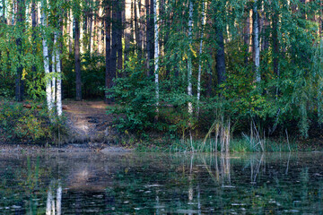 Fototapeta na wymiar Forest Lake. Reflection.