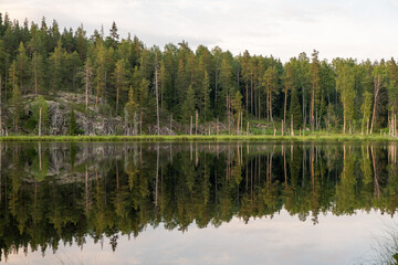 Obraz premium Ladoga lake. Panorama of the Republic of Karelia. Northern nature of Russia