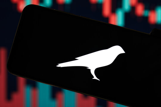 Kusama (KSM) editorial. Illustrative photo for news about Kusama (KSM) - a cryptocurrency