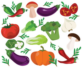 collection of vegetables