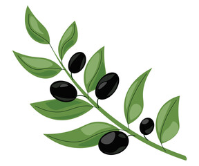 Obraz na płótnie Canvas olive branch with green leaves