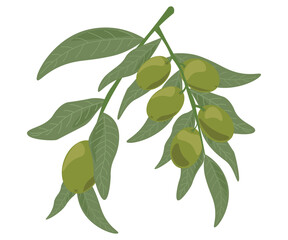 branch with leaves isolated