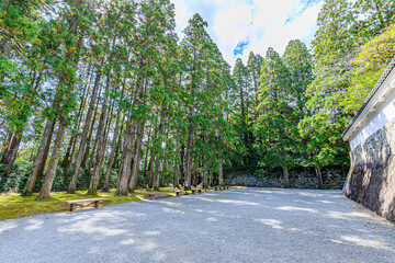 秋の飫肥城跡　宮崎県日南市　Obi Castle Ruins in Autumn. Miyazaki prefecture. Nichinan...