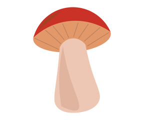 mushroom isolated on white