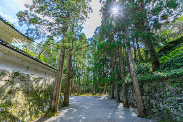秋の飫肥城跡　宮崎県日南市　Obi Castle Ruins in Autumn. Miyazaki prefecture. Nichinan...