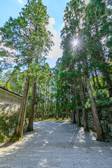 秋の飫肥城跡　宮崎県日南市　Obi Castle Ruins in Autumn. Miyazaki prefecture. Nichinan...