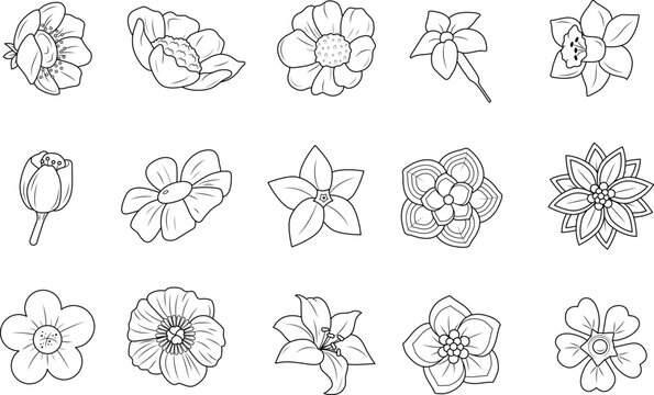 Hand drawn flowers clipart, vector illustration. Outline flowers clipart, Line art flowers clipart.
