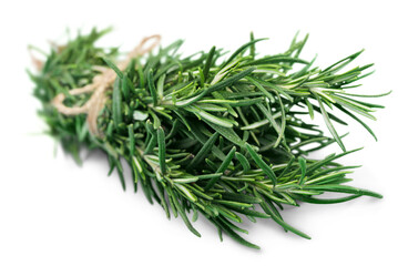 Thyme fresh plant closeup isolated natural green