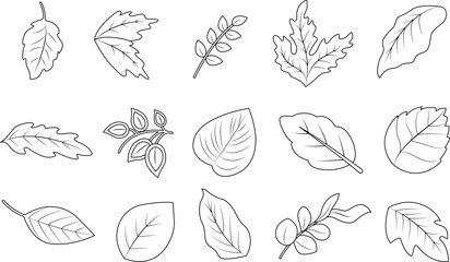 Hand drawn leaf clipart, vector illustration. Outline leaf clipart, Line art leaf clipart. Hand drawn leaves clipart,  Outline leaves clipart, Line art leaves clipart.