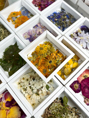 A group of various dried pressed flowers in white box. Basic material for contemporary botanical art. Plants for scrapbooking, wedding invitations, greeting cards, gift box decorations.