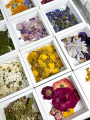 A group of various dried pressed flowers in white box. Basic material for contemporary botanical art. Plants for scrapbooking, wedding invitations, greeting cards, gift box decorations.