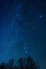 starry night sky with Milky Way