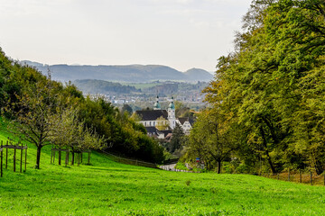 Arlesheim, Dom, Birstal, Birsebene, Dorf, Herbst, Herbstfarben, Herbstlaub, Herbstsonne, Ermitage,...