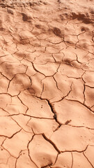 Terreno arcilloso agrietado