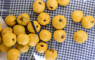 Fresh ripe quinces on a blue tablecloth. Top view