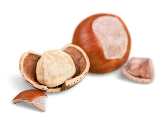 Forest hazelnuts isolated on white background