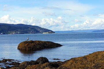 View from Korsvika beach in Trondheim. Norway