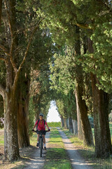 nice senior woman riding her electric mountain bike in an old  oak tree avenue in the Casentino area near Arezzo,Tuscany , Italy
