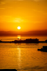 Sunrise in the Port of Algiers city with the backlit shadow of a pier and a palm tree, reflected in the Mediterranean Sea Bay, sun disk in the sky above mountains and birds flying in sunny background.