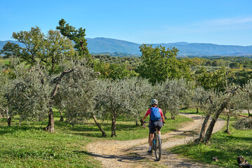 nice senior woman riding her electric mountain bike between olive trees in the Casentno hills near...