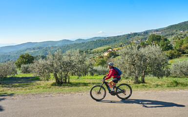 Fototapeta premium nice senior woman riding her electric mountain bike between olive trees in the Casentno hills near Arezzo,Tuscany , Italy
