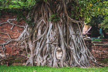 Ayutthaya