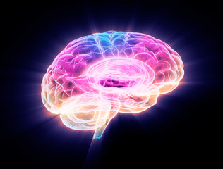 Obraz premium human brain multi color transparent