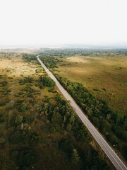 Vertical shot of a long road through the forests and fields