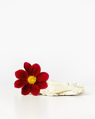 Fototapeta na wymiar Natural stone as podium for cosmetic products. Cosmetic display stand with red flower on white background, vertical photo. Beauty product or perfume presentation. Nature minimal stone pedestal