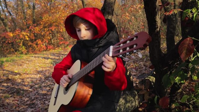 at sunset in the autumn forest against the background of red trees, a boy plays the guitar
