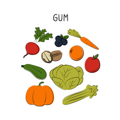 Gum-containing food. Groups of healthy products containing vitamins and minerals. Set of fruits, vegetables, meats, fish and dairy