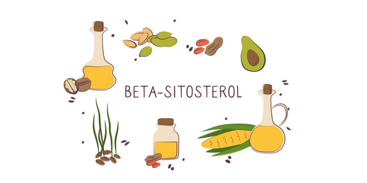 Beta-sitosterol-containing food. Groups of healthy products containing vitamins and minerals. Set of fruits, vegetables, meats, fish and dairy