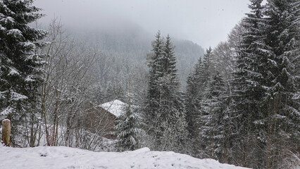 Schneegestöber in den Bergen