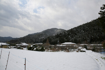 雪の積もった大原の風景