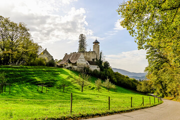 Arlesheim, Schloss Birseck, Ermitage, Dornach, Birseck, Landwirtschaft, Wald, Obstbäume,...