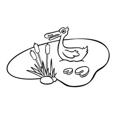 cartoon contour duck swims in the pond line vector illustration