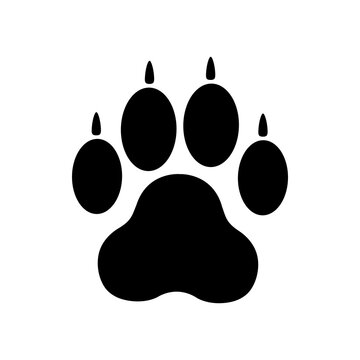 Dog Paw Png Images – Browse 36,417 Stock Photos, Vectors, and