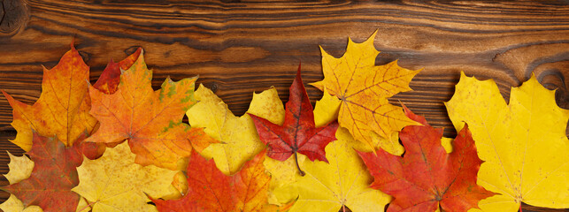 Naklejka na ściany i meble Autumn background. Orange fallen autumn leaves on a beautiful, brown, textured wooden background.