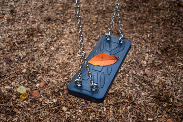 autumnal colored leaf on a swing