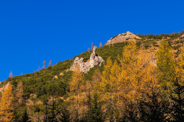 krajobraz jesienny w górach Tatry kolory jesieni