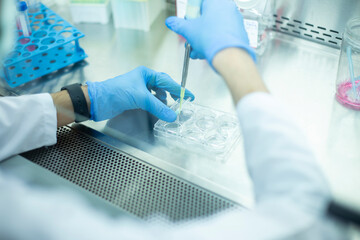 medicine, medical, cell culture and biology laboratory photo