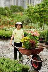 Boy Pushing Wheelbarrow with Plants