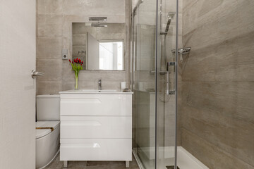 Bathroom with square mirror, white chest of drawers and glass shower stall