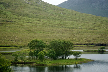 Fototapeta na wymiar Trees on an island in Loch Droma, on the west coast of the Highlands of Scotland.