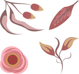 set of dried flower and leaf plant frame element ornament decoration