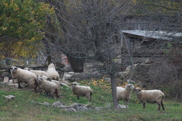 Autumn on the Trakhtemyriv Peninsula, Ukraine