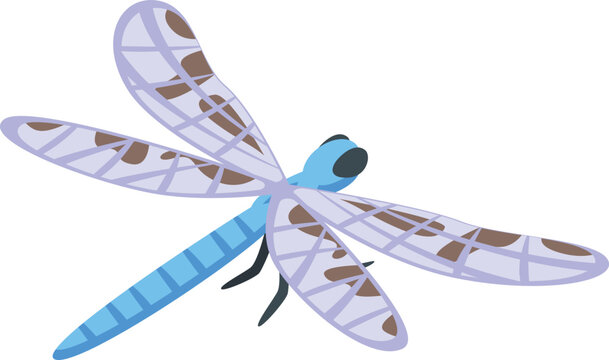 Dragonfly icon isometric vector. Insect wing. Bug fly