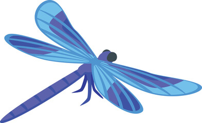 Blue dragonfly icon isometric vector. Wing dragon. Summer bug