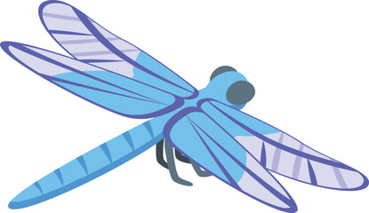 Obraz na płótnie Canvas Cute dragonfly icon isometric vector. Insect wing. Macro bug